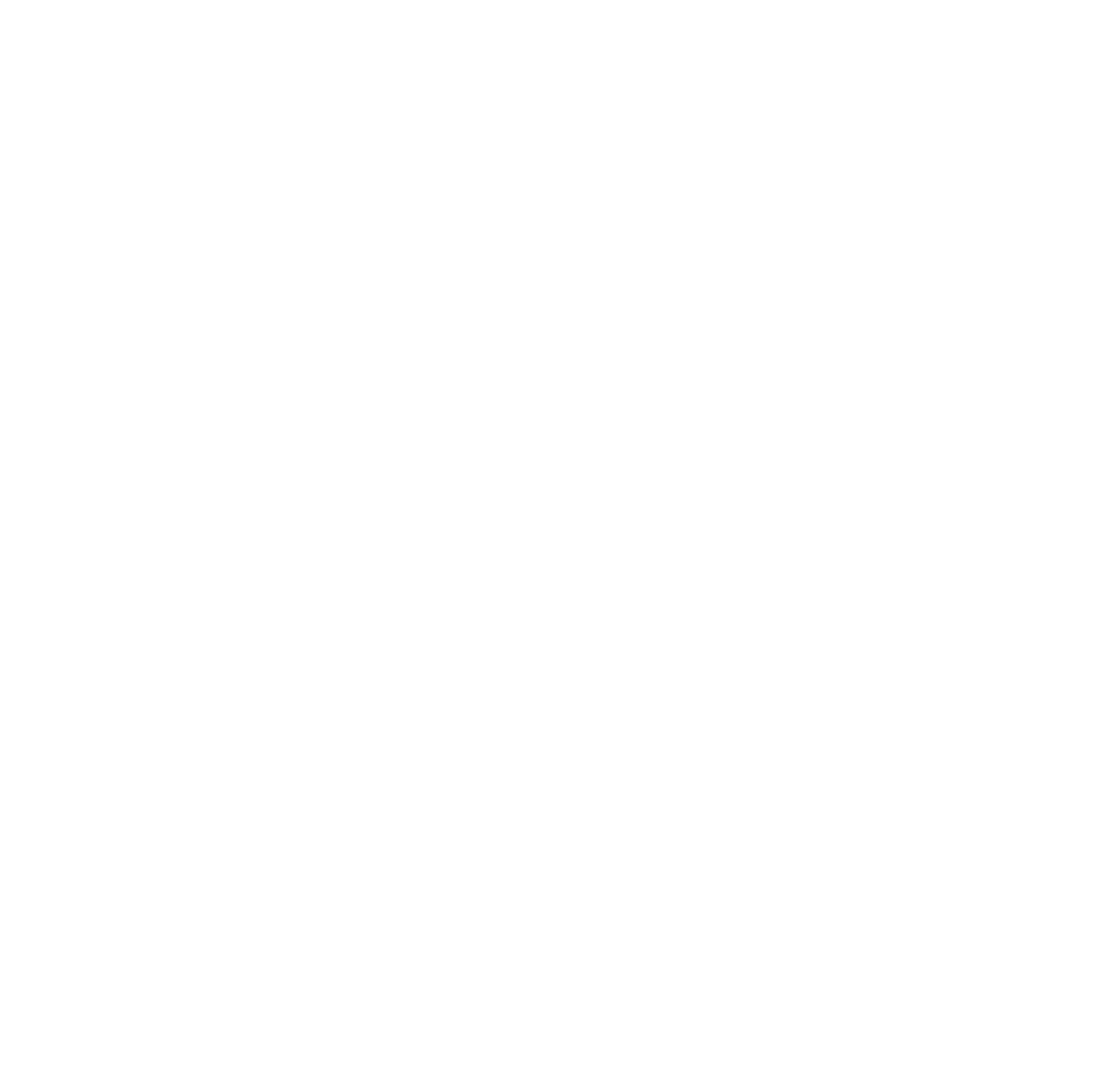 reseau-senior-png-02